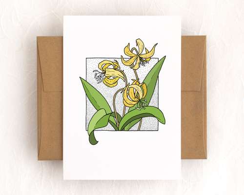 Link to 'Avalanche Lily'